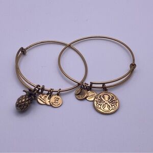 Alex & Ani Bracelets OS Bronze tone Charm Bracelet Bangle Set